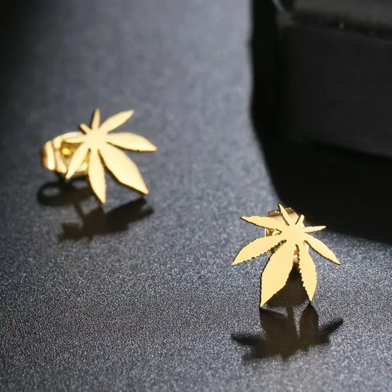 earrings set