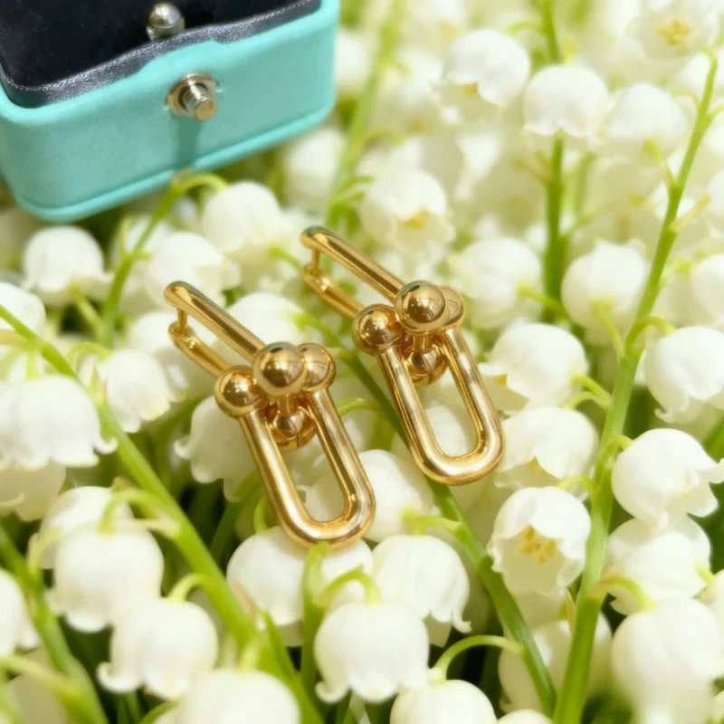earrings set