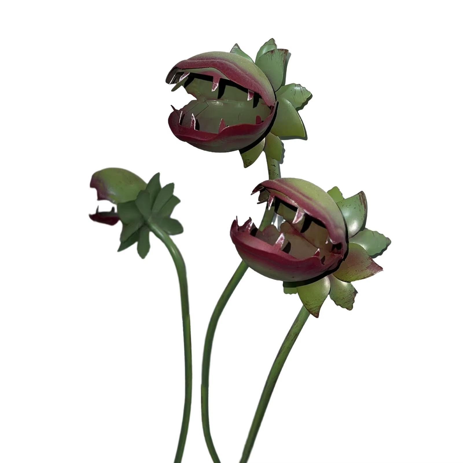 Eerie Drama Venus Flytrap - Zero Upkeep - Image 4