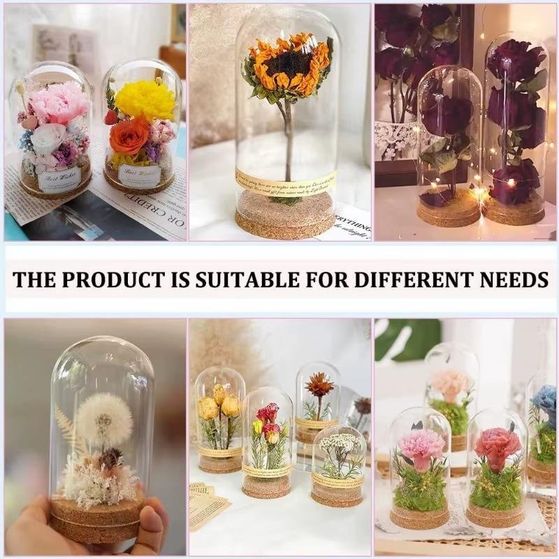 3pcs Succulent & Plant Display | 500+ Sold