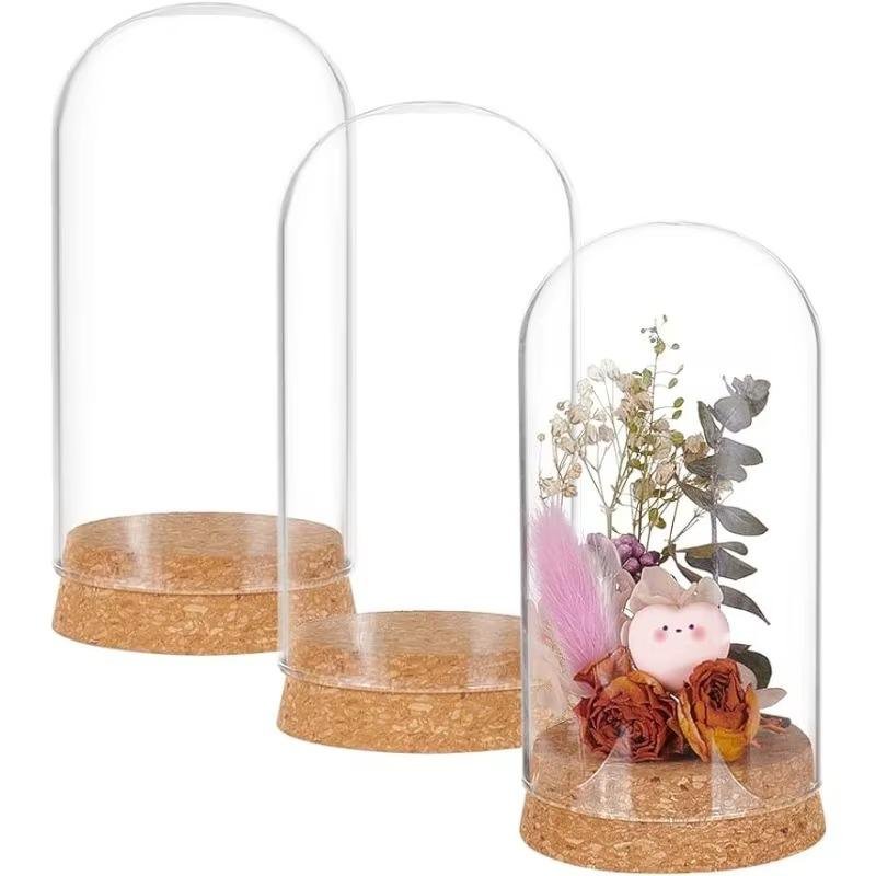 3pcs Succulent & Plant Display | 500+ Sold - Image 5