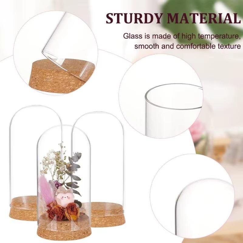3pcs Succulent & Plant Display | 500+ Sold - Image 6